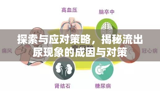 探索與應(yīng)對策略，揭秘流出尿現(xiàn)象的成因與對策