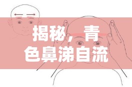 揭秘，青色鼻涕自流的真相與鼻塞的幕后