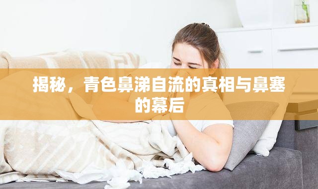 揭秘，青色鼻涕自流的真相與鼻塞的幕后