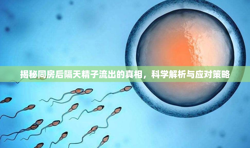 揭秘同房后隔天精子流出的真相，科學(xué)解析與應(yīng)對策略