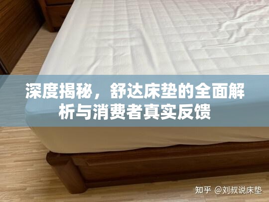 深度揭秘，舒達床墊的全面解析與消費者真實反饋
