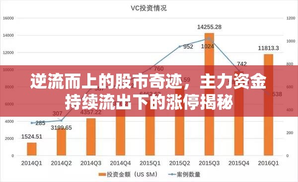 逆流而上的股市奇跡，主力資金持續(xù)流出下的漲停揭秘
