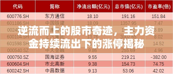 逆流而上的股市奇跡，主力資金持續(xù)流出下的漲停揭秘