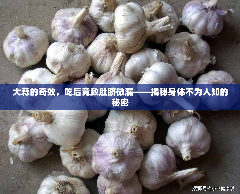 大蒜的奇效，吃后竟致肚臍微漏——揭秘身體不為人知的秘密