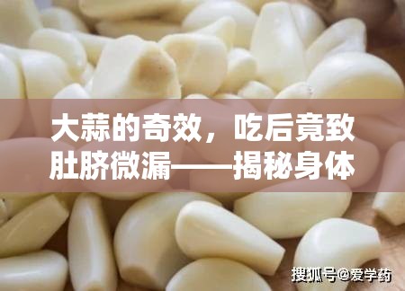大蒜的奇效，吃后竟致肚臍微漏——揭秘身體不為人知的秘密