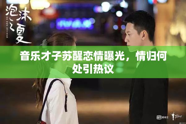 音樂才子蘇醒戀情曝光，情歸何處引熱議