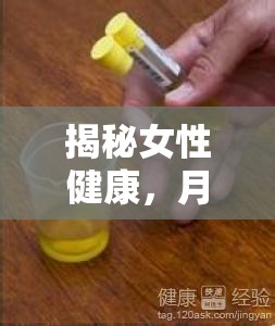 揭秘女性健康，月經結束后為何出現黃色液體？