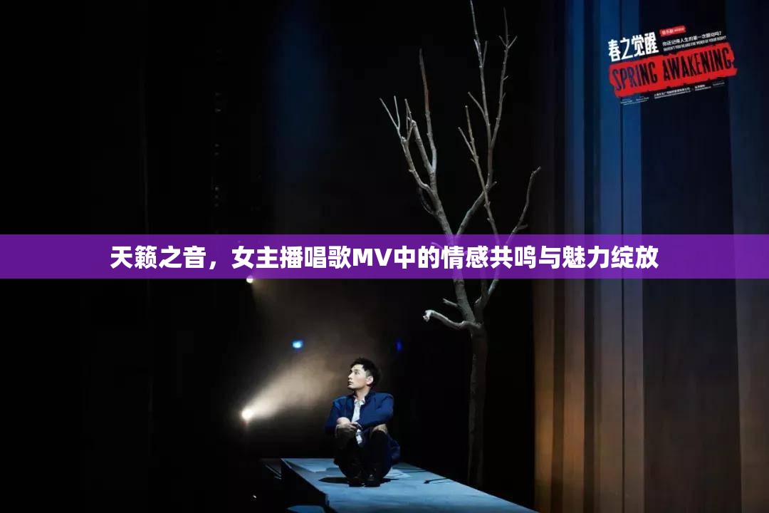 天籟之音，女主播唱歌MV中的情感共鳴與魅力綻放