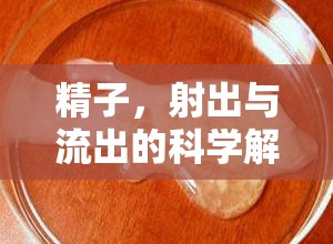 精子，射出與流出的科學(xué)解析