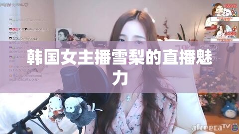 韓國女主播雪梨的直播魅力