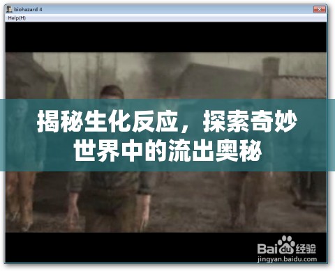 揭秘生化反應(yīng)，探索奇妙世界中的流出奧秘