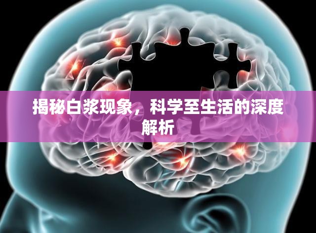 揭秘白漿現(xiàn)象，科學(xué)至生活的深度解析