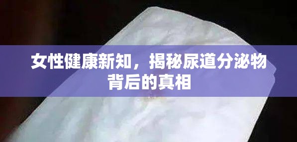 女性健康新知，揭秘尿道分泌物背后的真相