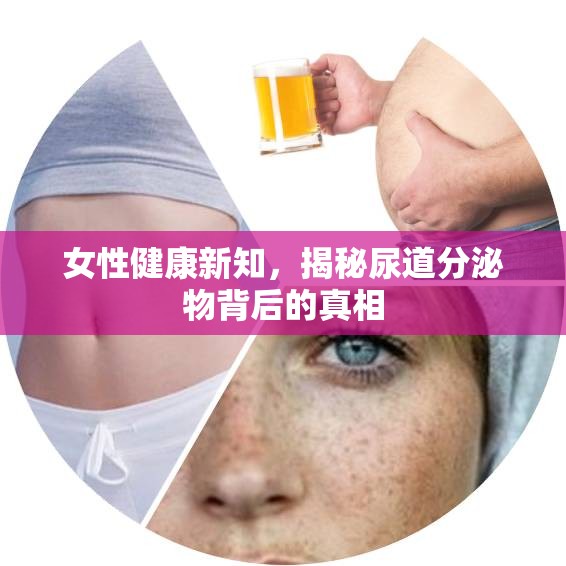 女性健康新知，揭秘尿道分泌物背后的真相