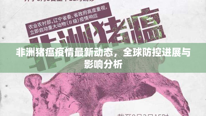 非洲豬瘟疫情最新動態(tài)，全球防控進展與影響分析