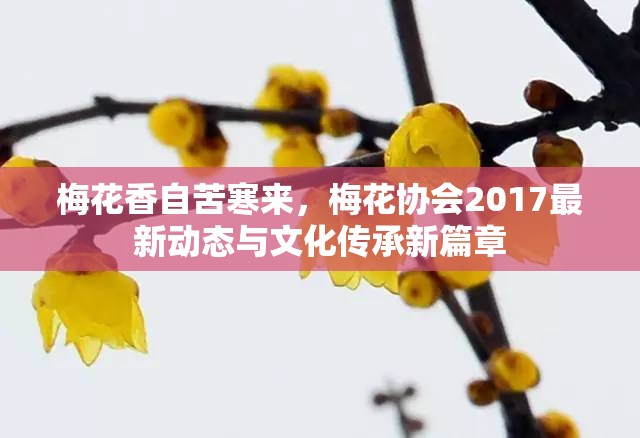 梅花香自苦寒來，梅花協(xié)會(huì)2017最新動(dòng)態(tài)與文化傳承新篇章