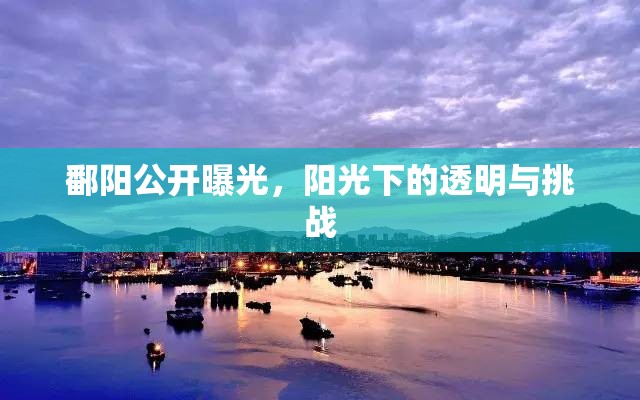 鄱陽公開曝光，陽光下的透明與挑戰(zhàn)