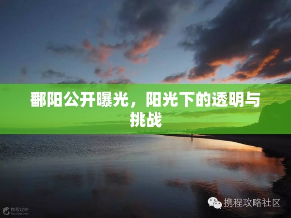 鄱陽公開曝光，陽光下的透明與挑戰(zhàn)