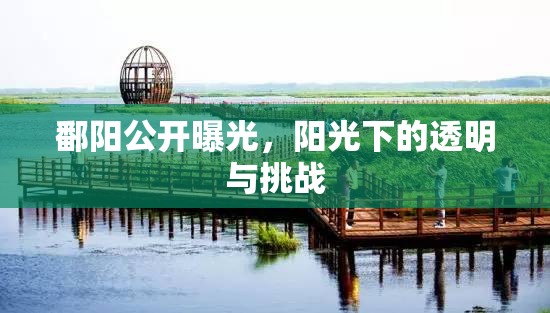 鄱陽公開曝光，陽光下的透明與挑戰(zhàn)
