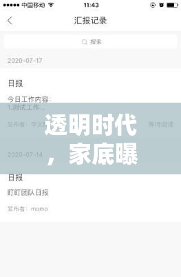 透明時(shí)代，家底曝光下的數(shù)字新紀(jì)元——挑戰(zhàn)與機(jī)遇并存