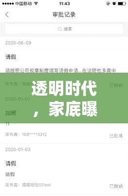 透明時(shí)代，家底曝光下的數(shù)字新紀(jì)元——挑戰(zhàn)與機(jī)遇并存