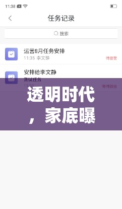 透明時(shí)代，家底曝光下的數(shù)字新紀(jì)元——挑戰(zhàn)與機(jī)遇并存
