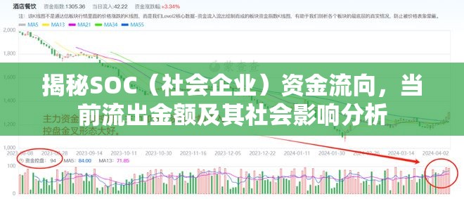 揭秘SOC（社會企業(yè)）資金流向，當前流出金額及其社會影響分析