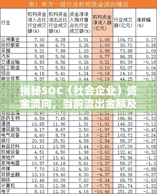 揭秘SOC（社會企業(yè)）資金流向，當前流出金額及其社會影響分析