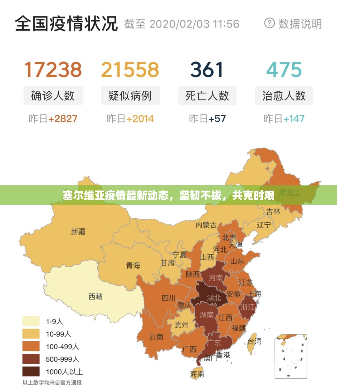 塞爾維亞疫情最新動(dòng)態(tài)，堅(jiān)韌不拔，共克時(shí)艱