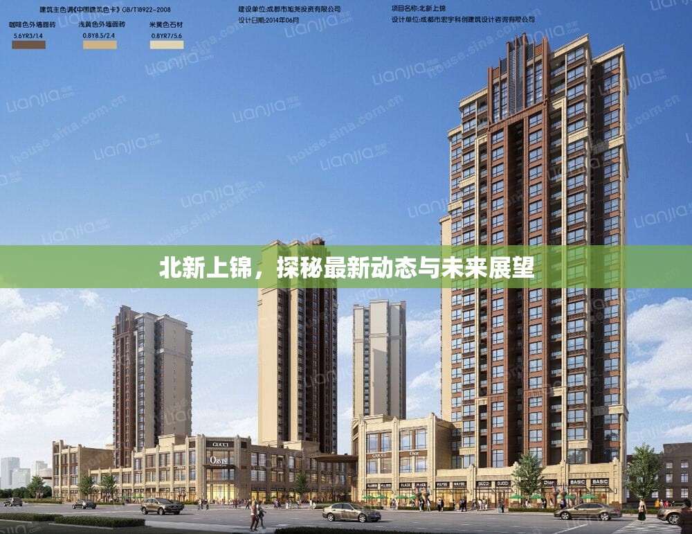 北新上錦，探秘最新動態(tài)與未來展望