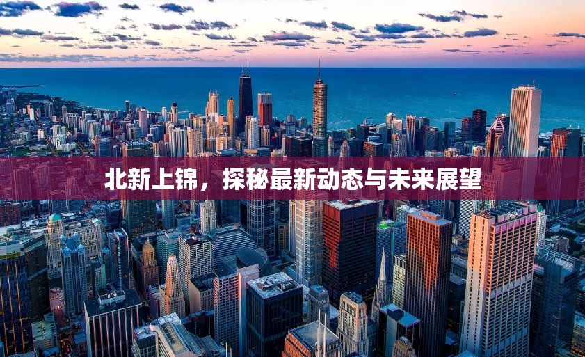 北新上錦，探秘最新動態(tài)與未來展望