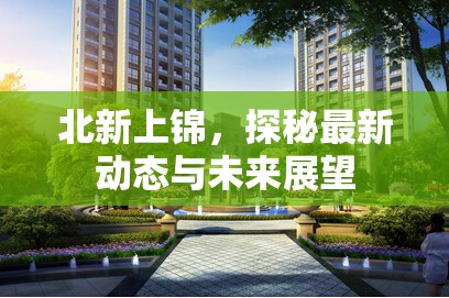 北新上錦，探秘最新動態(tài)與未來展望