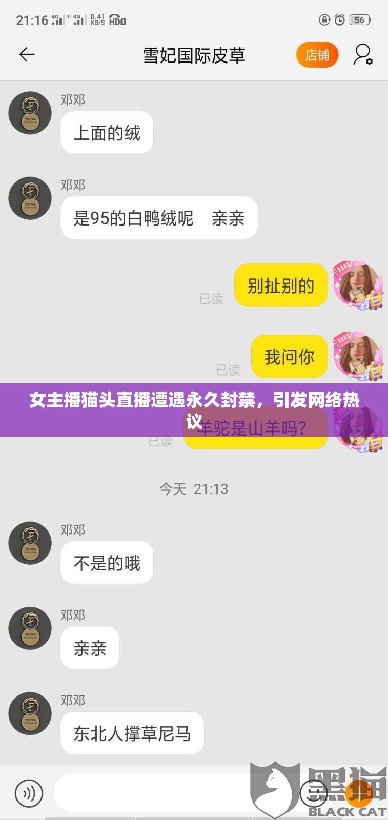 女主播貓頭直播遭遇永久封禁，引發(fā)網(wǎng)絡(luò)熱議
