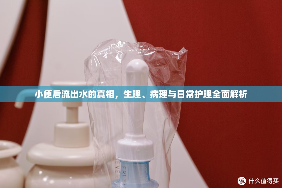 小便后流出水的真相，生理、病理與日常護理全面解析