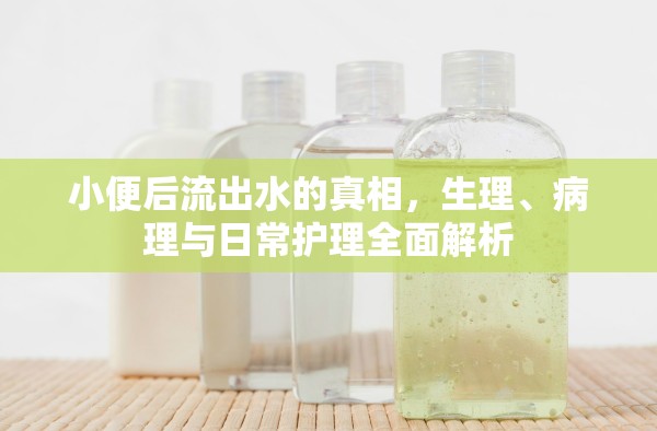 小便后流出水的真相，生理、病理與日常護理全面解析