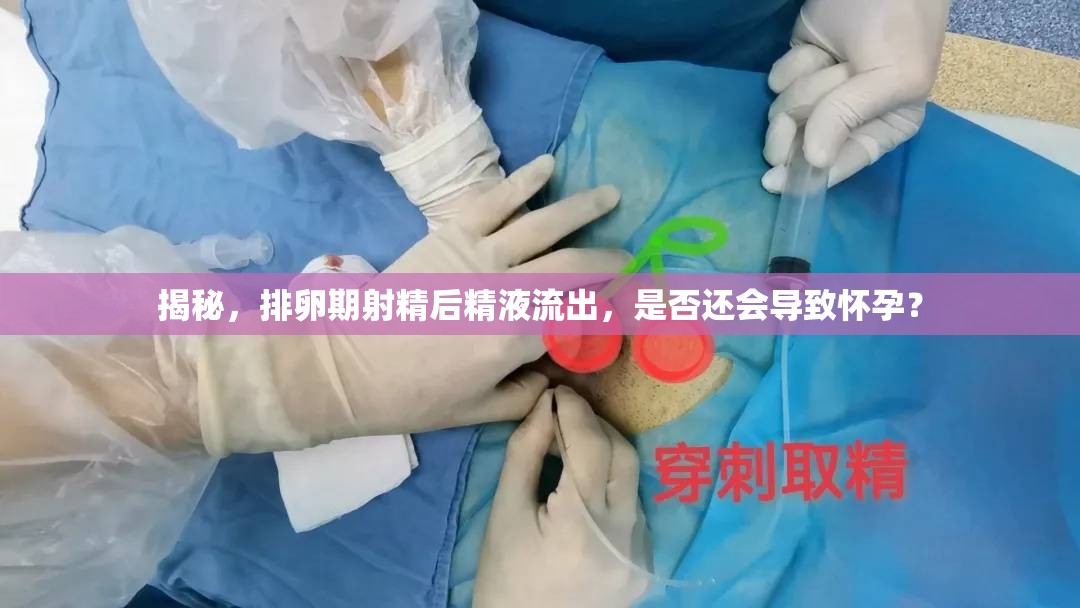揭秘，排卵期射精后精液流出，是否還會(huì)導(dǎo)致懷孕？