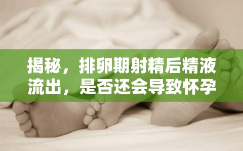揭秘，排卵期射精后精液流出，是否還會(huì)導(dǎo)致懷孕？