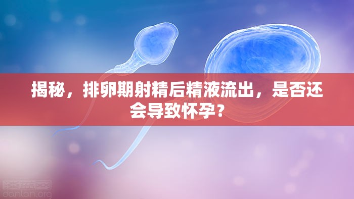 揭秘，排卵期射精后精液流出，是否還會(huì)導(dǎo)致懷孕？