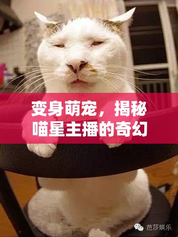 變身萌寵，揭秘喵星主播的奇幻之旅