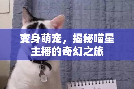 變身萌寵，揭秘喵星主播的奇幻之旅