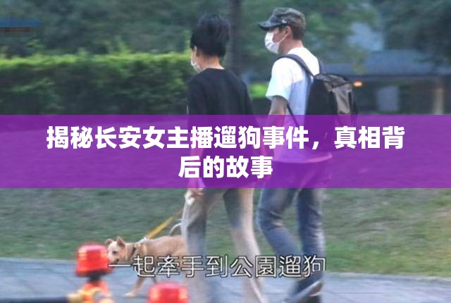揭秘長(zhǎng)安女主播遛狗事件，真相背后的故事