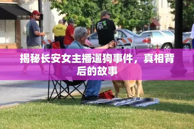 揭秘長(zhǎng)安女主播遛狗事件，真相背后的故事