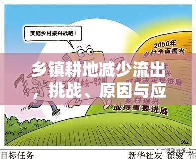 鄉(xiāng)鎮(zhèn)耕地減少流出，挑戰(zhàn)、原因與應(yīng)對策略