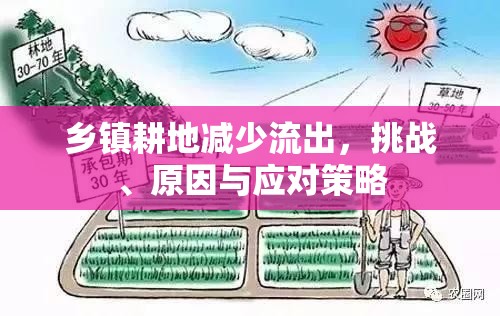 鄉(xiāng)鎮(zhèn)耕地減少流出，挑戰(zhàn)、原因與應(yīng)對策略