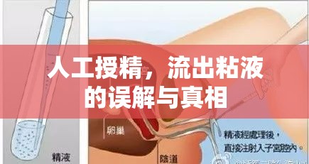 人工授精，流出粘液的誤解與真相