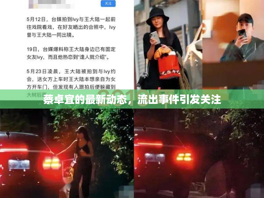 蔡卓宜的最新動態(tài)，流出事件引發(fā)關注