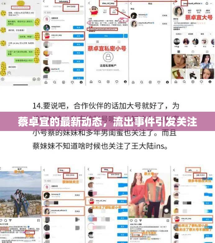 蔡卓宜的最新動態(tài)，流出事件引發(fā)關注