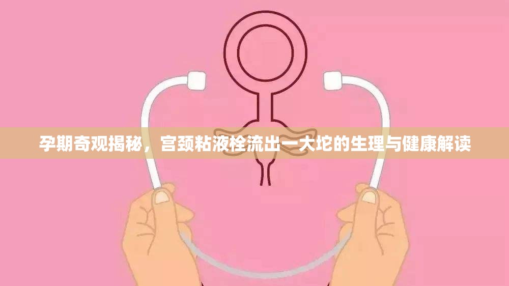 孕期奇觀揭秘，宮頸粘液栓流出一大坨的生理與健康解讀