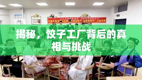 揭秘，餃子工廠背后的真相與挑戰(zhàn)
