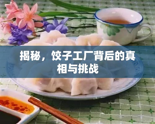 揭秘，餃子工廠背后的真相與挑戰(zhàn)